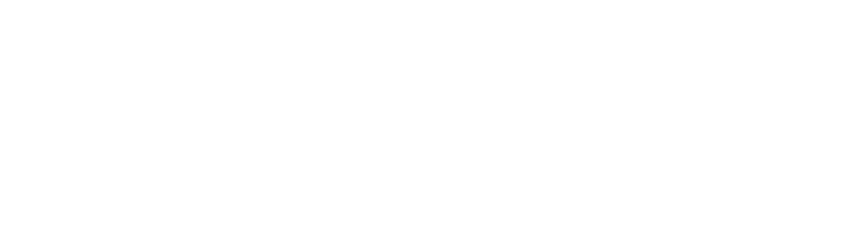 新領域開拓若手研究会 - HOME